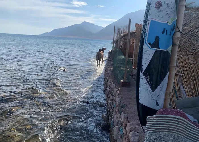 Salt Water Camp