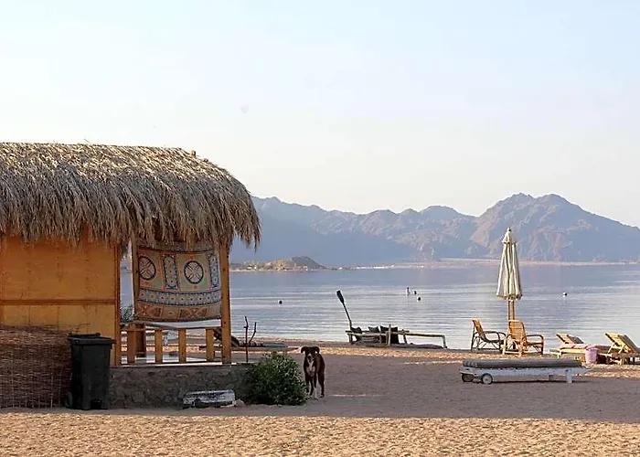 مكان تخييم Salt Water Camp