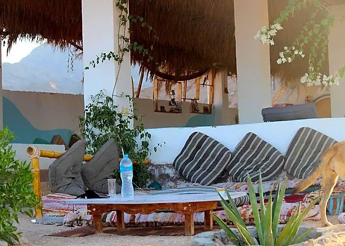 Salt Water Camp 4* نويبع