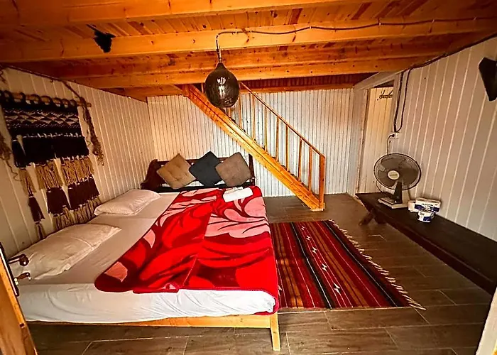 Salt Water Camp مكان تخييم نويبع