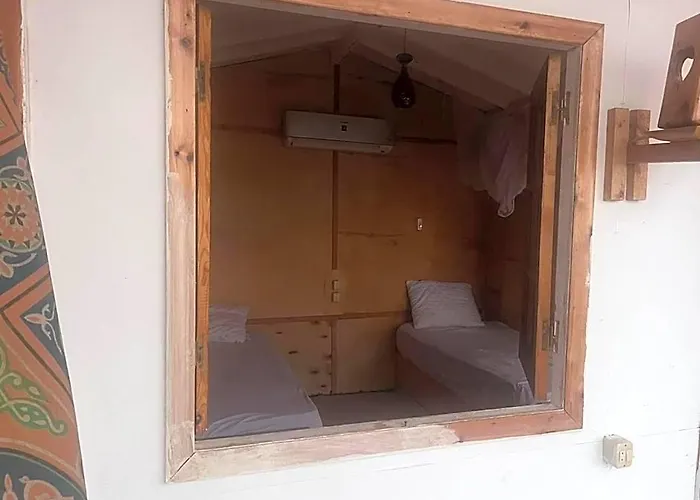 Salt Water Camp نويبع